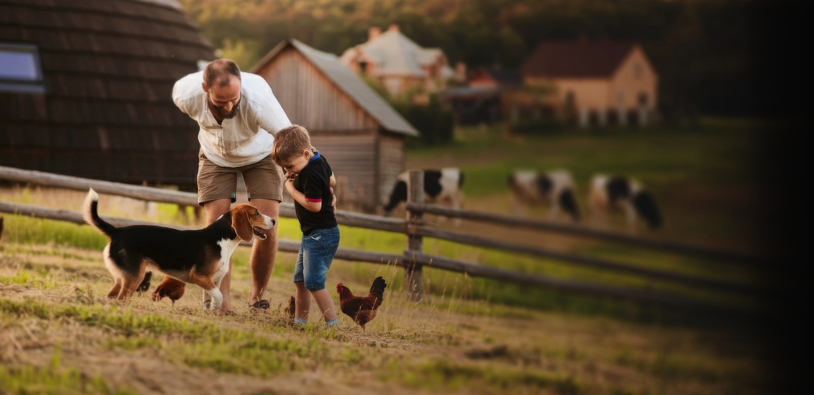 Farm