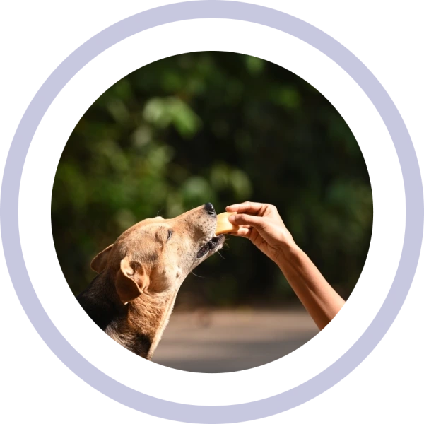 RABITEC : The easiest method