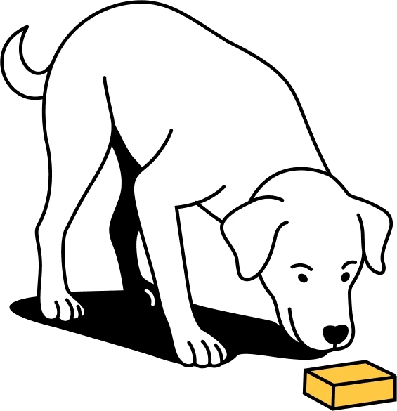 Dog Sniffing Rabitec