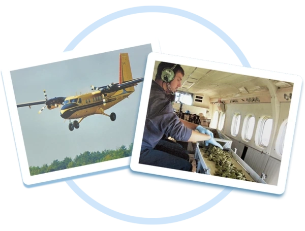The vaccine is distributed through airplane